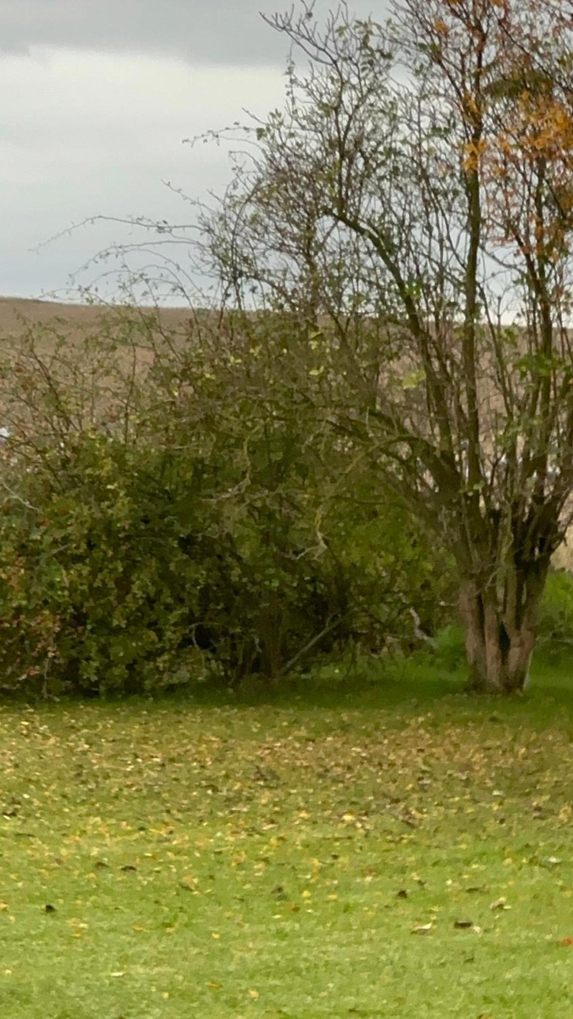 Fischerhuette IV Mobilheim Polchow Dış mekan fotoğraf